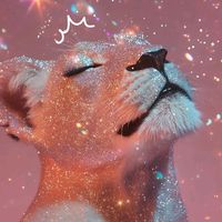 aurora.alkimiss