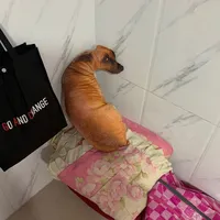 DJ TEHIBA TEHI SLOWREMIX