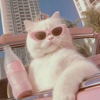 mika_pink_sho