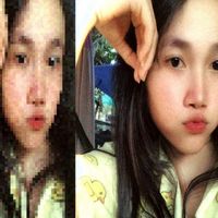 stevytnh1
