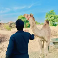 original sound - alihassankohri