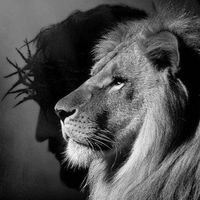 faithwin7_