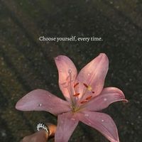 suara asli - AkuadalahAku