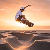 skateboarding.edi