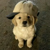 original sound - nellomss