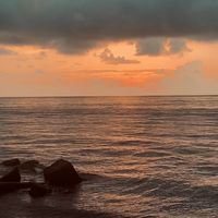 ninonino561