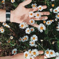 เสียงต้นฉบับ - วีV❤섿타삭(싹) 아이더생 ❤️🇹🇭🇰🇷