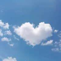 original sound - left_215