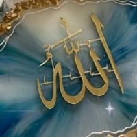 user448360242q