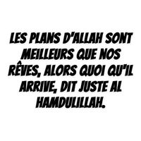 commissait.belge.22