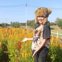 เสียงต้นฉบับ - lookpla