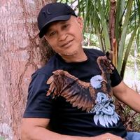 original sound - Pett