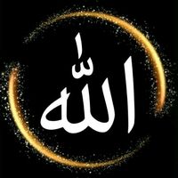 assinatt22