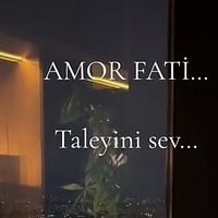 amorfati93