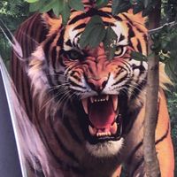 original sound - Tanaraj_0121