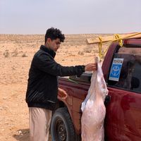 الصوت الأصلي
