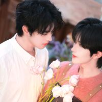 curitisyuri