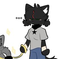 midnight_cat.24
