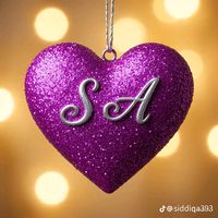 user032020562