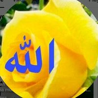 ali.sarkar23