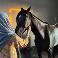 عند الموادع محمد عبده