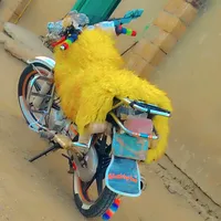 original sound - user0909039525