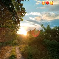 mary_ramos_79