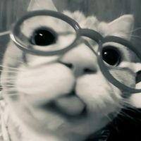 original sound - LYNX