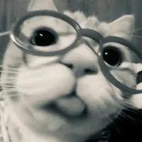 original sound - pono_co