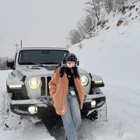 binavi.12
