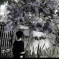 sna_913
