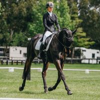 brodieroberts.equestrian