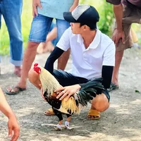 original sound - phamcuong23.12