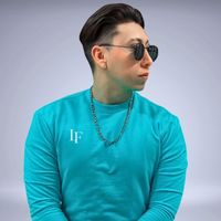 luisfenix.mx