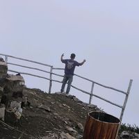 zthaf_ff