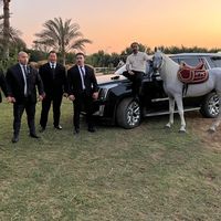 الصوت الأصلي