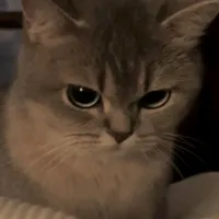 original sound - mistiqueen247