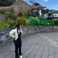 nicolgc3
