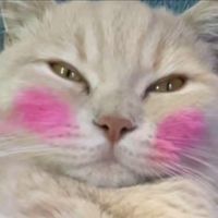 原聲