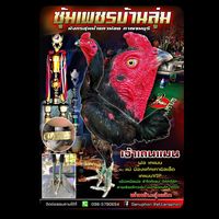danuphonrattanaphon