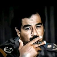 667sahdamhussan