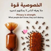 belaili_farid7