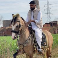 khaleeq.zaman.64