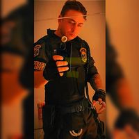 sergiosegurancaprivada