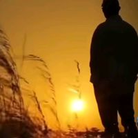 amanat.hossain