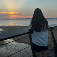 li._.cai