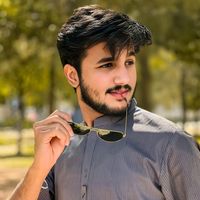 ameer.hamza.rahee