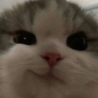 오리지널 사운드 - 찌완콩마누라