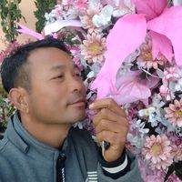 zaw.zaw05816
