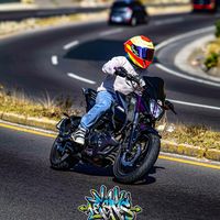 regalizo08